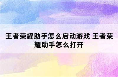 王者荣耀助手怎么启动游戏 王者荣耀助手怎么打开